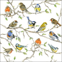1 Pack Paper Lunch Napkins - Birds Meeting - Ambiente