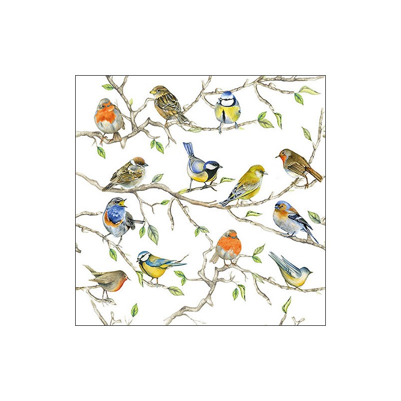 1 Pakje papieren lunch servetten - Birds Meeting - Ambiente 1 Pakje papieren lunch servetten - Birds Meeting - Ambiente