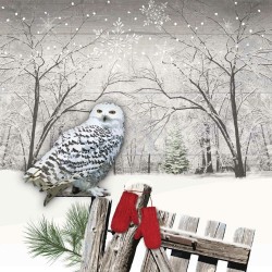20 Paper Lunch Napkins - Wintry Owl - 1 pack - PPD