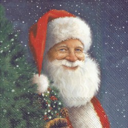 1 Pack Paper Lunch Napkins - Santa Is Waiting For Christmas - IHR