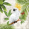 1 Pack Paper Lunch Napkins - Cockatoo - Ambiente