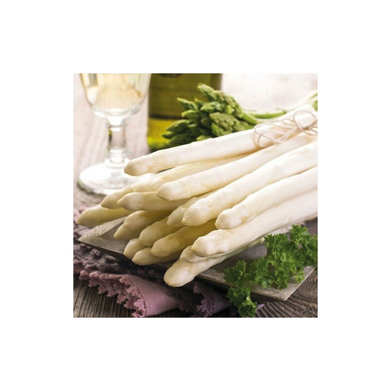 1 Pack Paper Lunch Napkins - Asparagus Mix - Ambiente 1 Pack Paper Lunch Napkins - Asparagus Mix - Ambiente