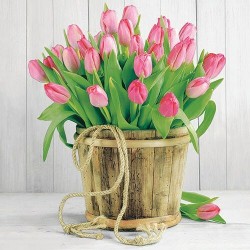 paper lunch napkins - Tulips In Bucket - Ambiente