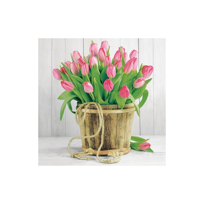 paper lunch napkins - Tulips In Bucket - Ambiente paper lunch napkins - Tulips In Bucket - Ambiente