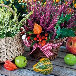 papieren lunch servetten - Heather Baskets - Ambiente