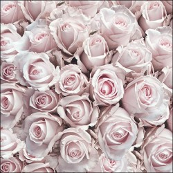 papieren lunch servetten - Pastel Roses - Ambiente