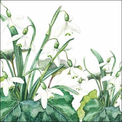 1 Pack Paper Lunch Napkins - Snowdrops White - Ambiente