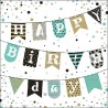 1 Pack Paper Lunch Napkins - Birthday Garland Green - Ambiente
