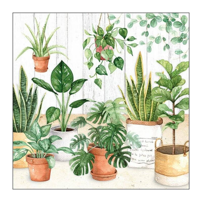 1 Pack Paper Lunch Napkins - Urban Jungle - Ambiente 1 Pack Paper Lunch Napkins - Urban Jungle - Ambiente
