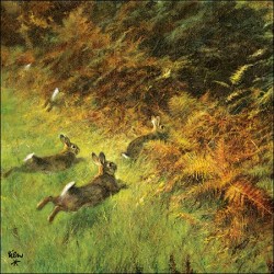 1 Pack Paper Lunch Napkins - Running Rabbits - Ambiente