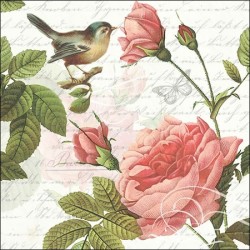 1 Pack Paper Lunch Napkins - Sophie - Ambiente