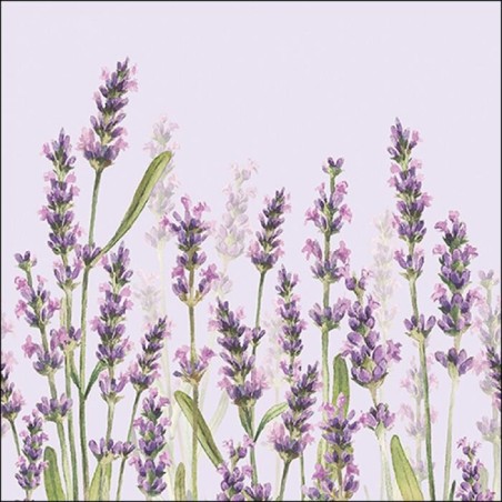 1 Pack Paper Lunch Napkins - Lavender Shades Lila - Ambiente