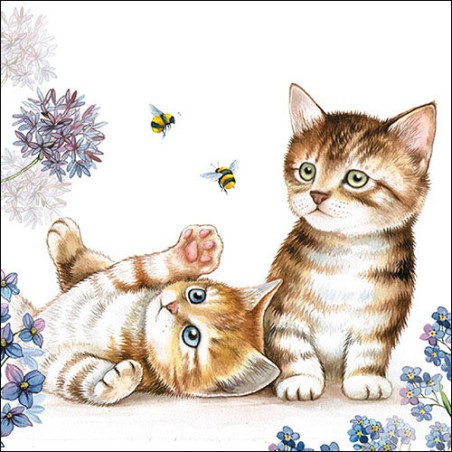 1 Pack paper lunch napkins - Cats and Bees - Ambiente