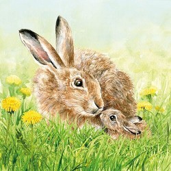 1 Pakje papieren lunch servetten - Hare Family - Ambiente