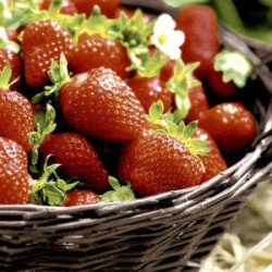 1 Pakje papieren lunch servetten - Strawberries - paper + Design