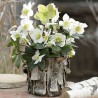 1 Pakje papieren lunch servetten - White Christmas rose - Ambiente