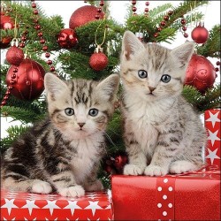 1 Pakje papieren lunch servetten - Christmas Kitten - Ambiente