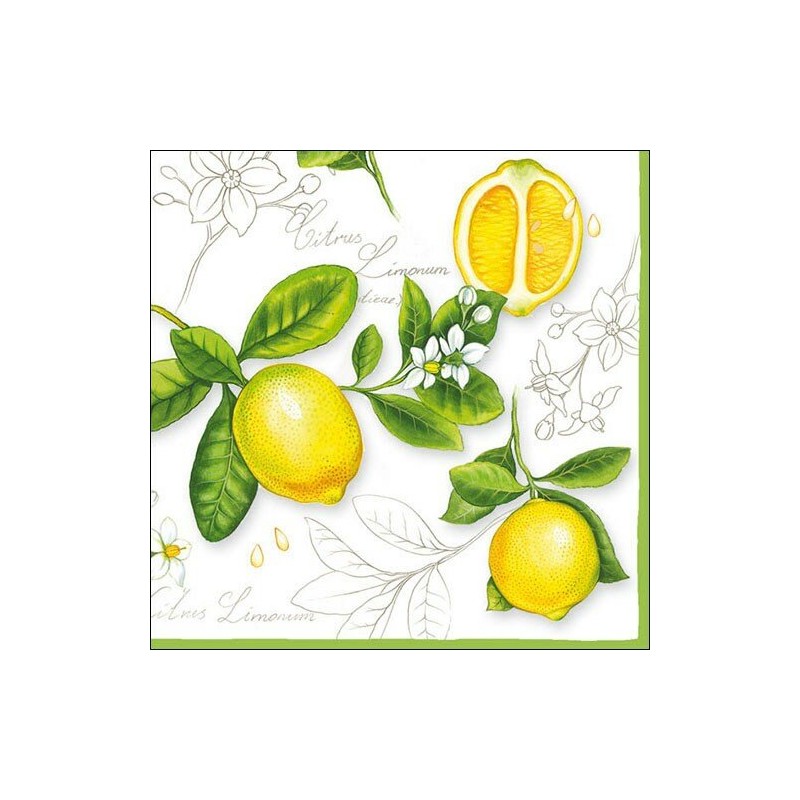 1 Pack Paper Lunch Napkins - Citrus Limonum - Ambiente 1 Pack Paper Lunch Napkins - Citrus Limonum - Ambiente