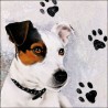 1 Pack Paper Lunch Napkins - Jack Russel - Ambiente