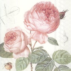 1 Pack Paper Lunch Napkins - Elisabeth - IHR