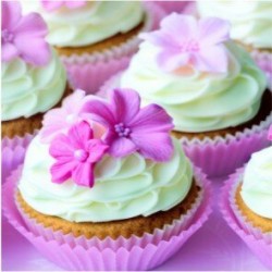1 Pack Paper Lunch Napkins - Lovely Muffin - PAW