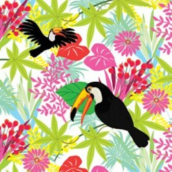 1 Pakje papieren lunch servetten - Toucan - PAW