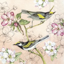 1 Pack paper lunch napkins - Birds symphony Apricot - IHR