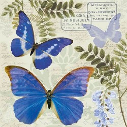 1 Pakje papieren lunch servetten - Blue Morpho - Ambiente