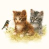papieren lunch servetten - Kitten Friend - Katten - Poezen - Kitten - Vogels - Ambiente