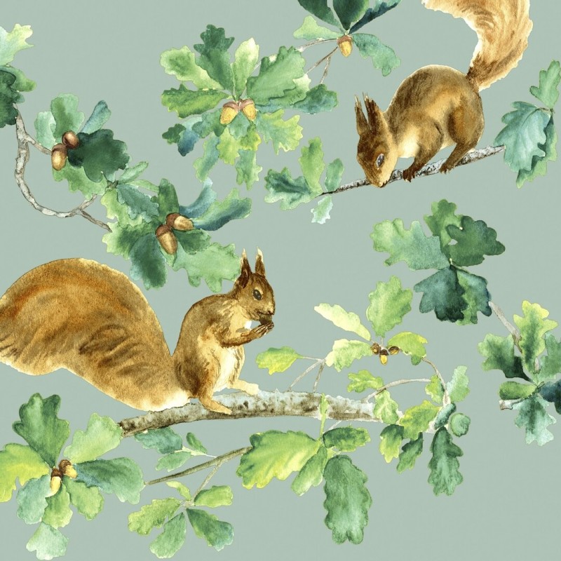 1 Pack Paper Lunch Napkins - Squirrels -  Paper+Design