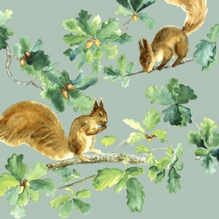 1 Pack Paper Lunch Napkins - Squirrels -  Paper+Design