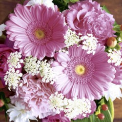 P+D - Lunch Napkins - Pink Gerbera