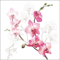 Papieren Lunch Servetten - Orchid - 1 pakje - Orchidee - Ambiente