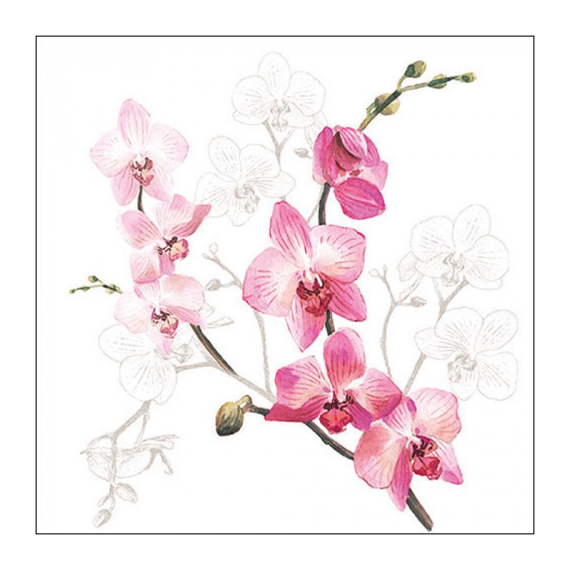 20 Paper Lunch Napkins - Orchid - 1 pack - Ambiente 20 Paper Lunch Napkins - Orchid - 1 pack - Ambiente
