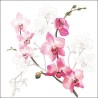 20 Paper Lunch Napkins - Orchid - 1 pack - Ambiente