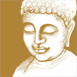 1 Pack Paper lunch Napkins - Buddha - PPD