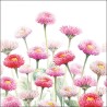 papieren lunch servetten - Painted bellis - Ambiente