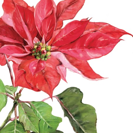 paper lunch napkins - Poinsettia rouge - PPD