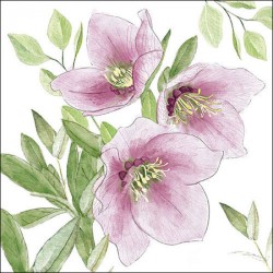 paper lunch napkins - Classic helleborus - Ambiente