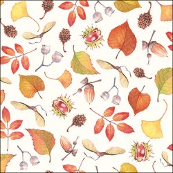 paper lunch napkins - Autumn details- Ambiente