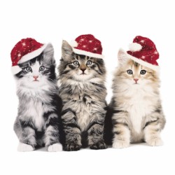 papieren lunch servetten - Xmas cats - Paper+Design - Kerstmis - Katten