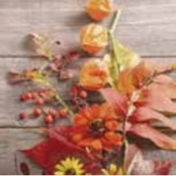 paper lunch napkins - Fruity Florals - Paper+Design