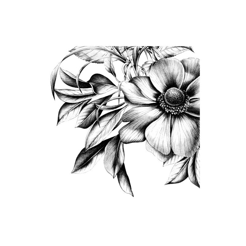 paper lunch napkins - Natasha - PPD - FLower - Black white paper lunch napkins - Natasha - PPD - FLower - Black white