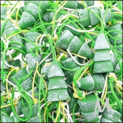 Lucky dolls - Christmas tree