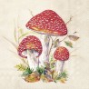 Paper Lunch Napkins - Toad creme - IHR - Fall - Autumn - Toad