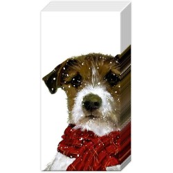 1 pack paper handkerchiefs  - Archie - IHR