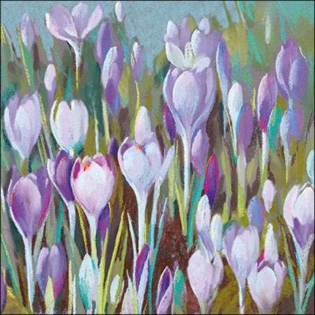 Ambiente - paper lunch napkins - Crocus - Spring - Flowers