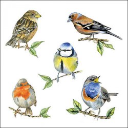 1 pack paper lunch napkins - Bird species white - Ambiente