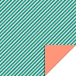 Cadeaupapier 30 cm -...