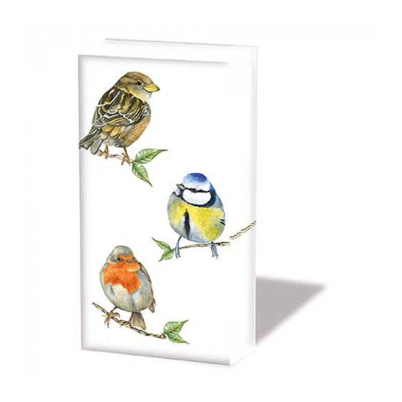 1 Pack paper handkerchiefs - Bird species white - Ambiente - Animals - Birds 1 Pack paper handkerchiefs - Bird species white - Ambiente - Animals - Birds